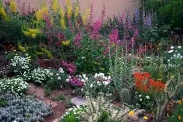 Lots of Nature