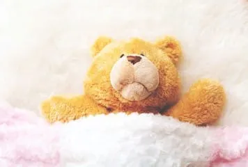 Earth Day and Stuffed Animals