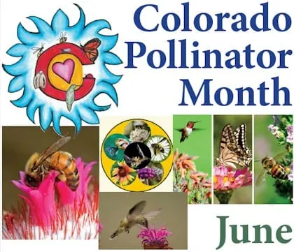 Pollinators, Hiking, and Kids
