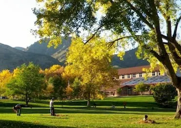 Election, Parks, & Early Trick or Treating