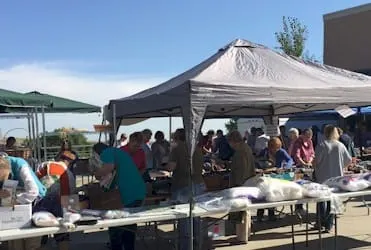 Having Fun and Helping Others