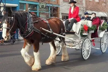 Summer Weather and Winter Events