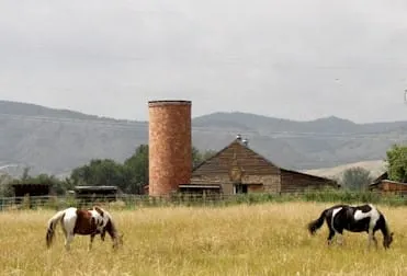 Helping Horses and Dining with Neighbors
