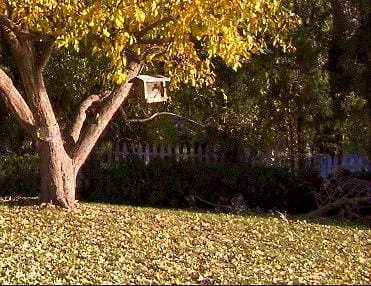 Things to Do in Golden