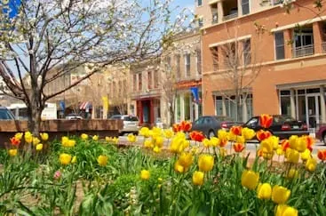 How to Improve Downtown