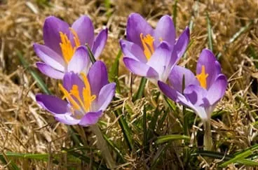 So much for spring!
