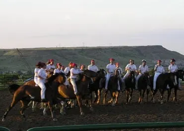 Horses, Sound Effects, Ukuleles, Liquor Licenses, Sustainability, and Dinosaurs