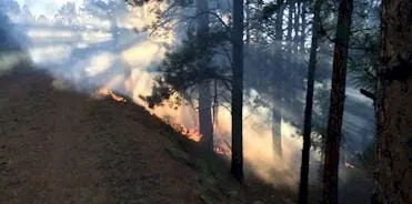 Guard Your Home from Wildfire