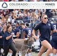 Homecoming Parade & Games, Farmers Market, Art, Music
