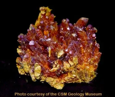 Sundaes at the Library, Mineral Club at the Geology Museum, and Music by Mines
