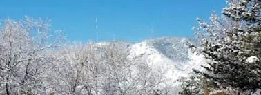 Preview of January 2019 Events in Golden