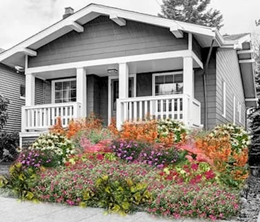 Xeriscaping, Housing, Music, and CSM Research