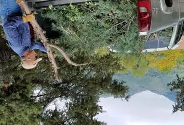 Grants, Pickers, and Climbers