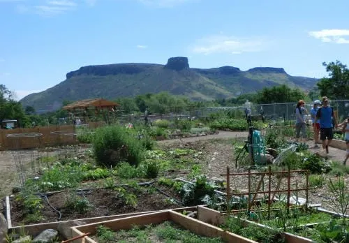 Water, Plants, Cheese, Music, and More