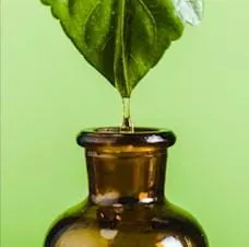 Tinctures, a Sexually Violent Predator, Music, and Theater
