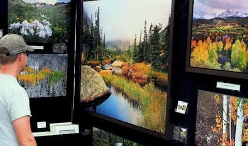 Fine Art, Quilting Stuff, Chickens, Dinosaurs, Trains