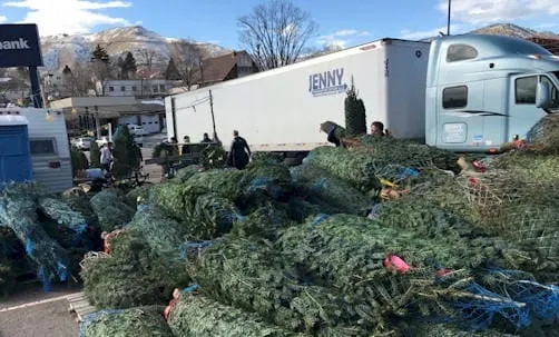 Tree Sale, Public Art, Art Show and Sale, City Council