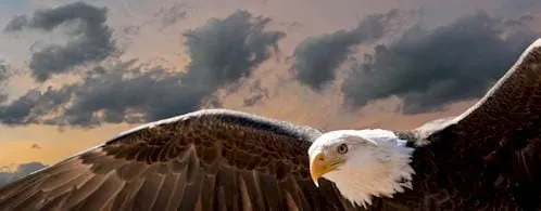 Science, Raptors, Orators, and a Centennial Celebration