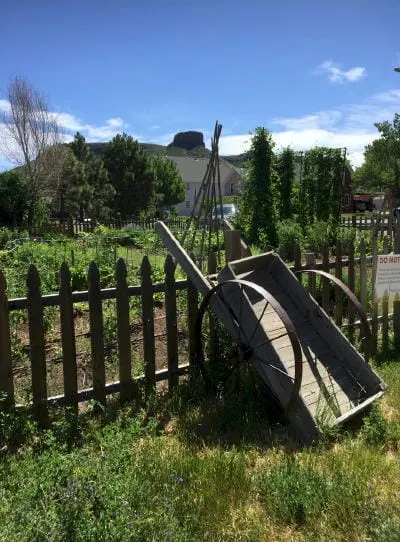 Father’s Day in Golden