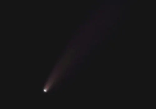 Thirteen New Cases in Golden and Comet-Spotting