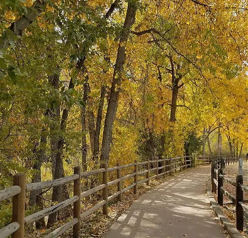 Wild West Walking and the Influenza Epidemic