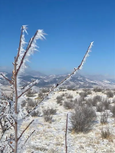 Hoar Frost, Affordable Housing Via Land Trust, and a Crime Wave in Golden