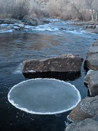 Strange Ice, Delicious Botanicals, and Radio Golden