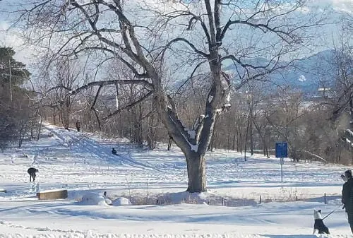 Thoughts of Sledding