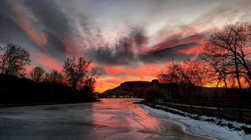 Nature Photography, VIBE at 5, Eating for the Coyotes, and 1916