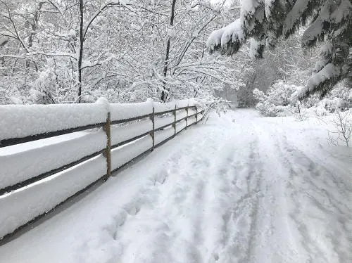 Deep Snow, Less Parking, and a History of Trash