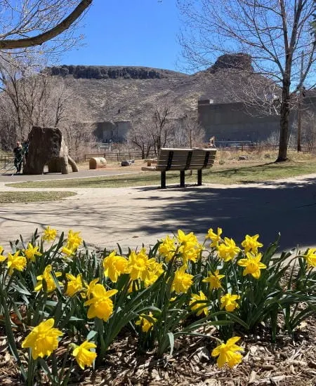 Spring, GURA, and the Colorado Central