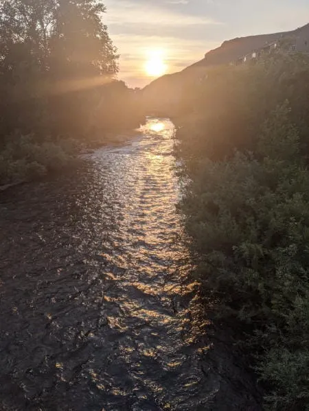Rumors, Organic Pest Control, Kids’ Clothing, Music, and a Fire on Lookout Mountain