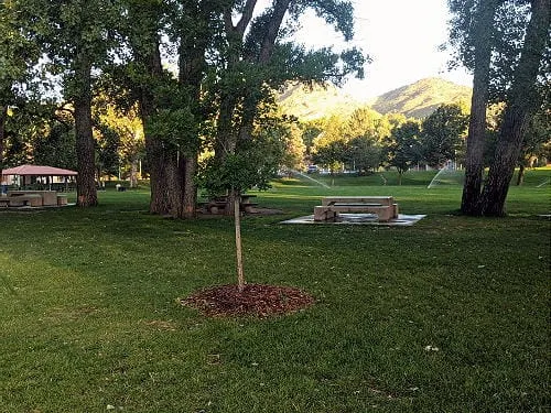 Weekly COVID Stats, Clear Creek Opinions, Schweich Hill, Citywide Broadband, Cooking on the Sidewalk, and a Railroad Shopping Trip