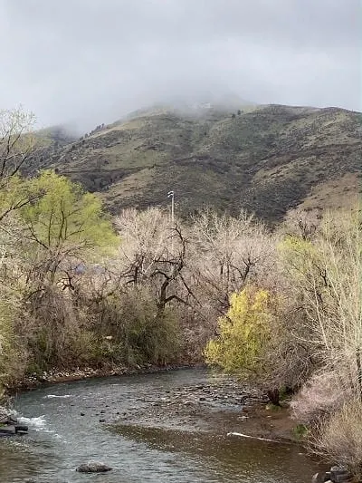 Misty M, Trivia Tuesday, and the Campground