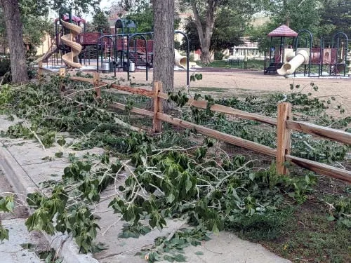 Storm Damage, Monday with the Mayor, the Wild Party, and the Fire