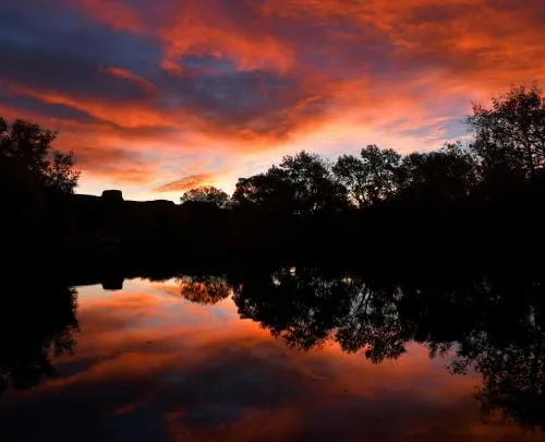 Summer Solstice, Creek News, and Finding a Use for a Rock