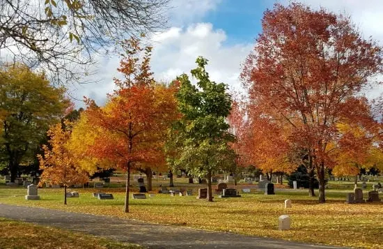 Cemetery Tours, Public Art, and an Attack on the M