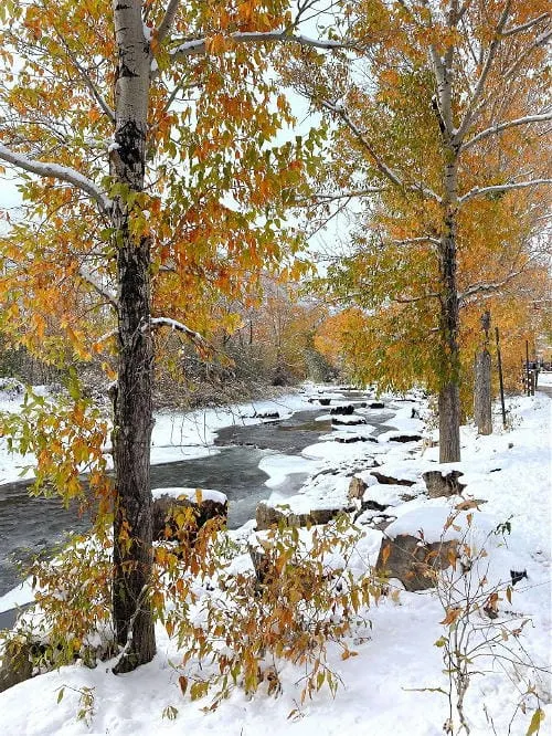 First Snow, Art, and Ashes