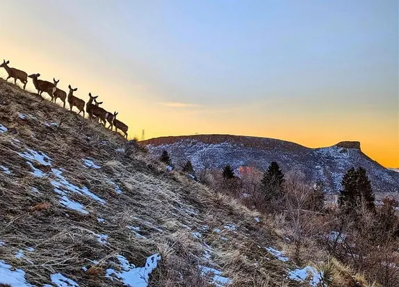 Public Art, Apres Wednesday, Women’s Activism, and Alumni Gatherings