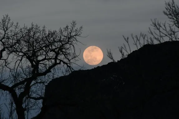 Full Moon, Lunch & Learn, Trivia, and an Old Photo