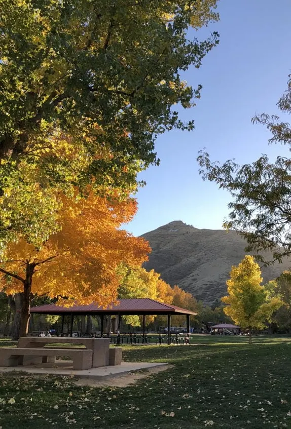Mines Spooktacular, Harvest Haunt at the RR Museum, Books & Tack, and a Marvelous Map