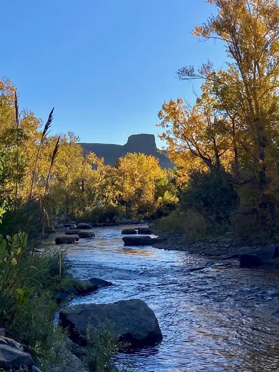 Coffee Klatch, the Golden Spike, Beer Talks, and the Candidates Forum