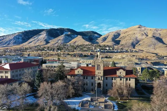 VIBE with the Chamber, Changing of the Guard at Council, and Chicken Thievery