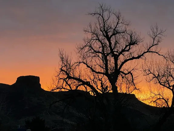 South Table Mountain and some bare trees are silhouetted in front of a glorious peach-colored sunrise