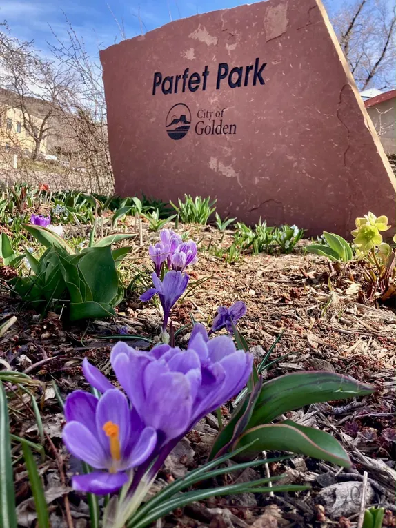 What's Happening in Golden - Sunday, Mar. 31st