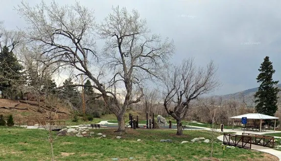 small park with a few large trees, small play structure, and lawn of natural grasses