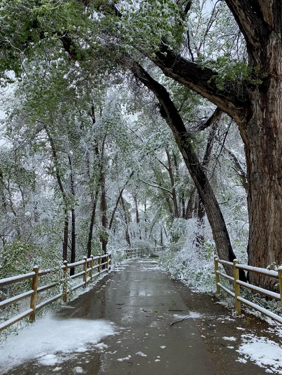 What's Happening in Golden - Saturday, Apr. 20th