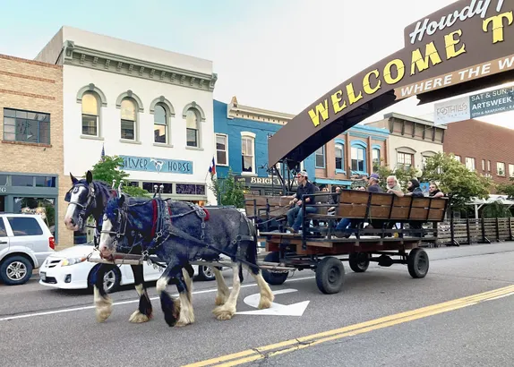 Horses & History