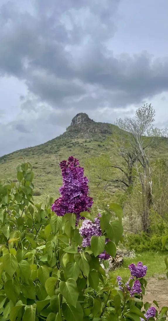 What's Happening in Golden - Saturday, May. 11th, 2024