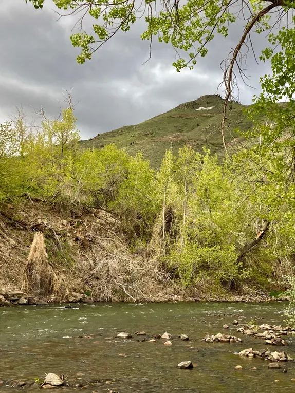 What's Happening in Golden - Friday, May. 10th, 2024